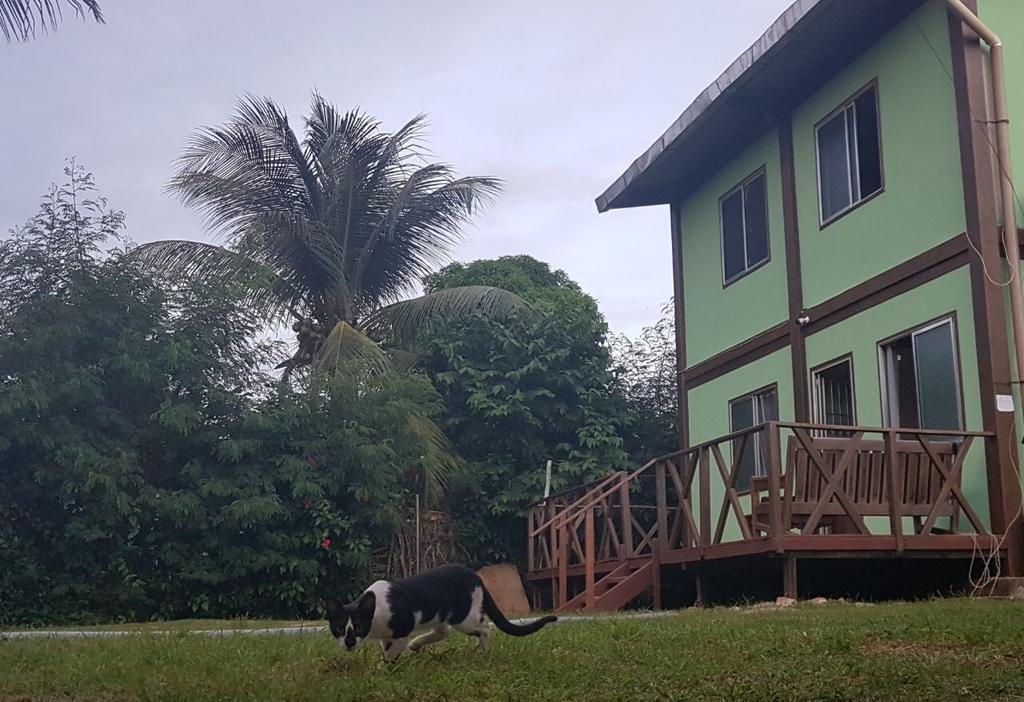 Appartamento Flat Do Indio Fernando de Noronha Esterno foto